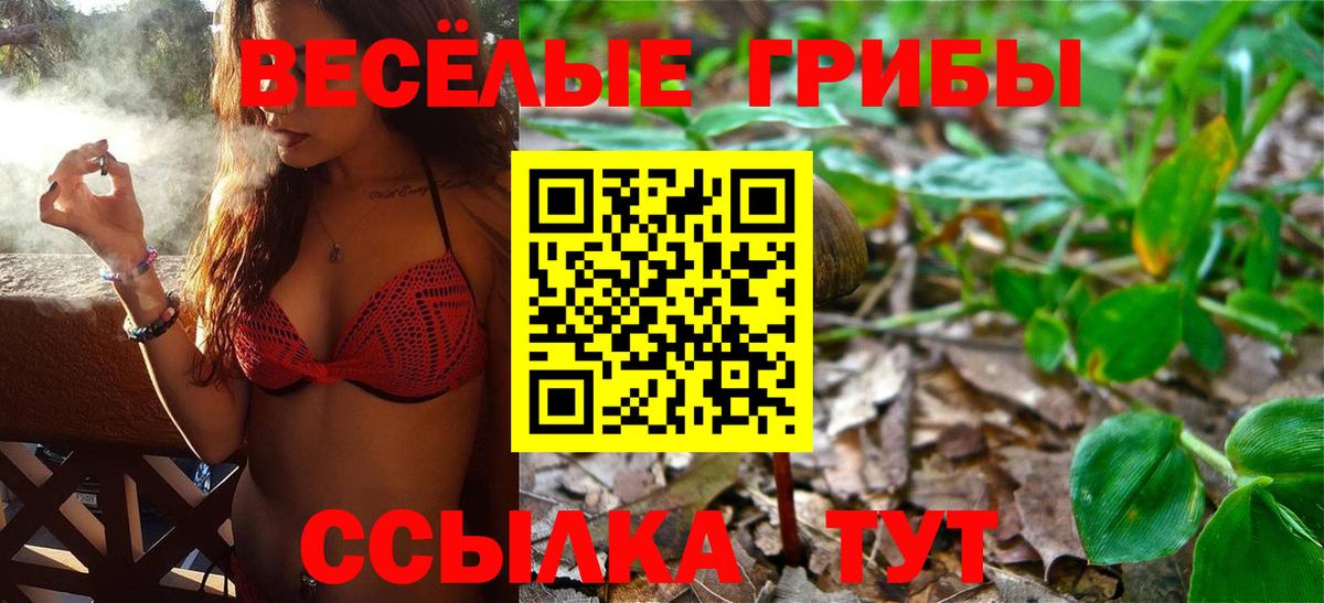 Псилоцибиновые грибы Cubensis Набережные Челны
